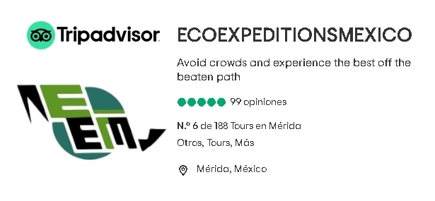 ecoexpeditions mexico trip advisor
